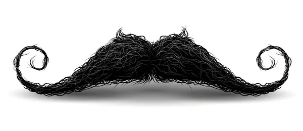 Perfekt hipster mustasch. Illustration med charm, isolerade på vit bakgrund — Stock vektor