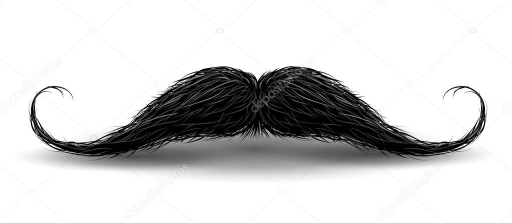 Realistic Vintage Black curly mustache. Vector Illustration isolated on a white background