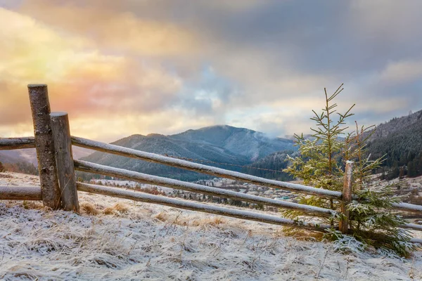 Winter morning in snowy Mountains. Landscape. Ukraine, Carpathians