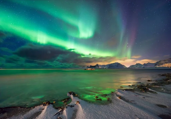 Gerçek Magic Kuzey Işıkları Norveç Fiyordu Kar Dağ Deniz Dalgaları — Stok fotoğraf