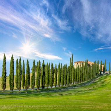 Tuscany kırsal yol selvi ağaçları, yeşil çim ve güneş - mavi gökyüzü güneşli manzara arka plan cennet gibi güzel duvar kağıdı, İtalya, Europe