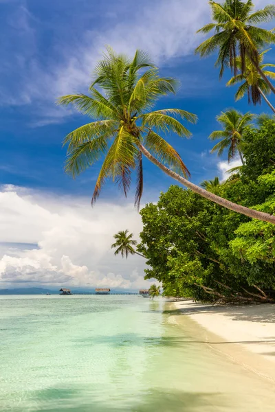 Nydelig strand. Utsikt over paradis, tropisk strand med kokosnøtt pa – stockfoto