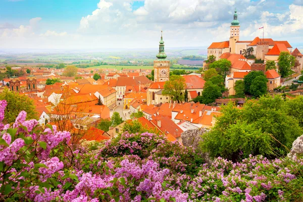 Oude historische Europese stad met kasteel, klok en bloemen — Stockfoto