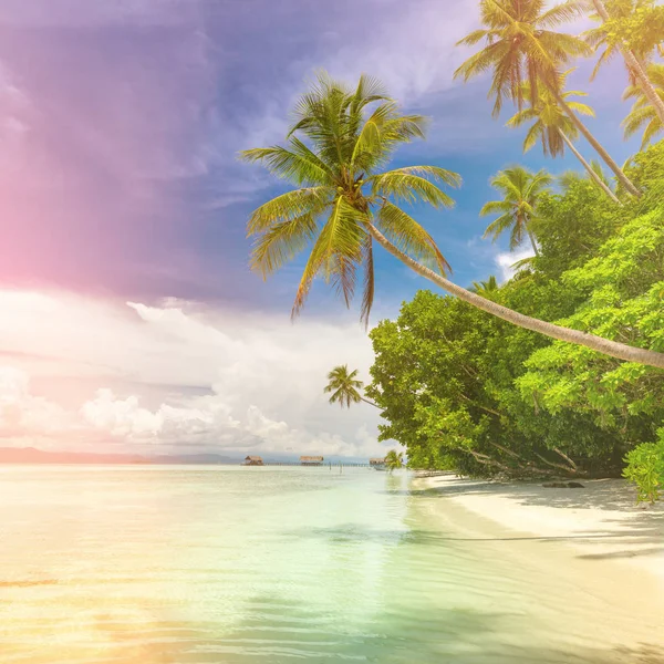 Idillyc background of tropical island beach - calm ocean, palm t
