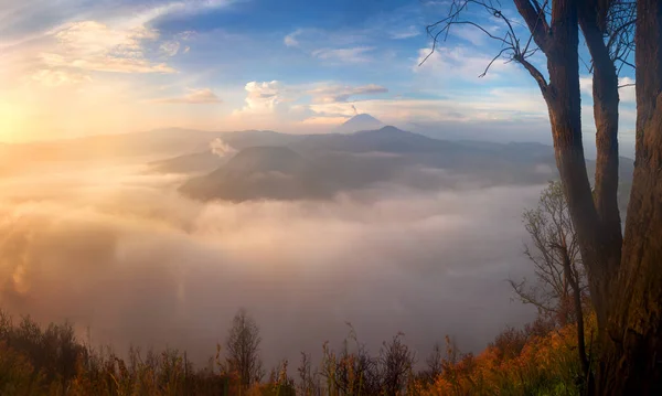 Bromo vulkaan bij zonsopgang, bergen landschap — Stockfoto