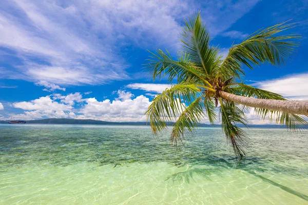 Playa tropical: mares tranquilos, palmeras y cielo azul - Idílico — Foto de Stock