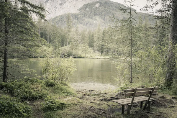 Banc solitaire en forêt naturelle et lac en montagne — Photo