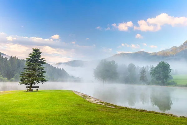 Mañana brumosa en el paisaje del lago de las montañas con árbol y benc — Foto de Stock