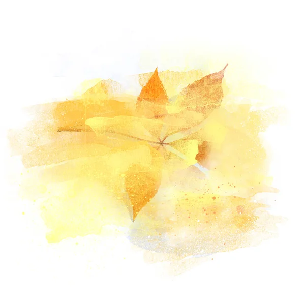 Elegante herfst aquarel design element, geïsoleerd op wit — Stockfoto