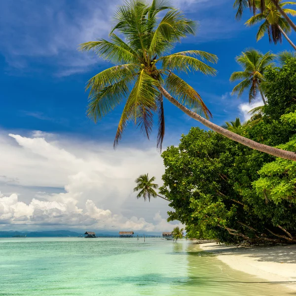 Beautiful Paradise Island - tropikal plaj manzara - sakin — Stok fotoğraf