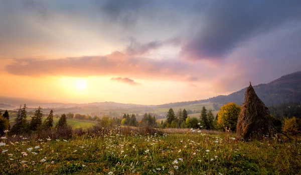 Sonnenaufgang in den Bergen mit weißen Blumen und malerischem Tal — Stockfoto