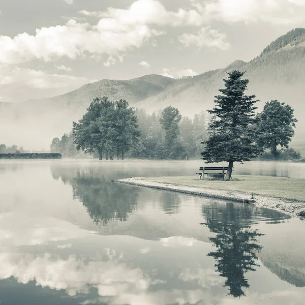 Morning on a  lake with alone tree and bench