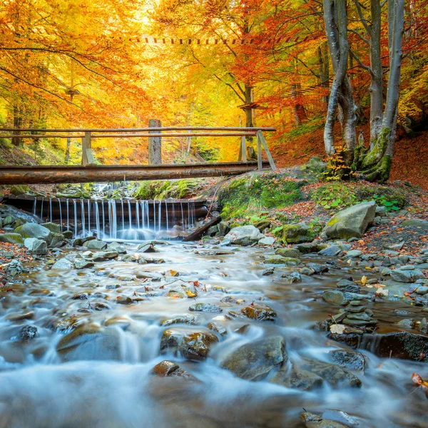 Outono no parque florestal - árvores coloridas, pequena ponte de madeira e — Fotografia de Stock