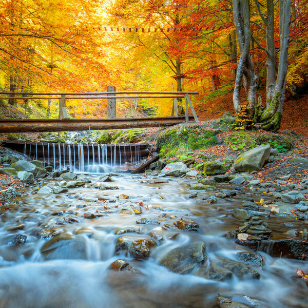 Autumn in forest park  - colorful trees, small wooden bridge and
