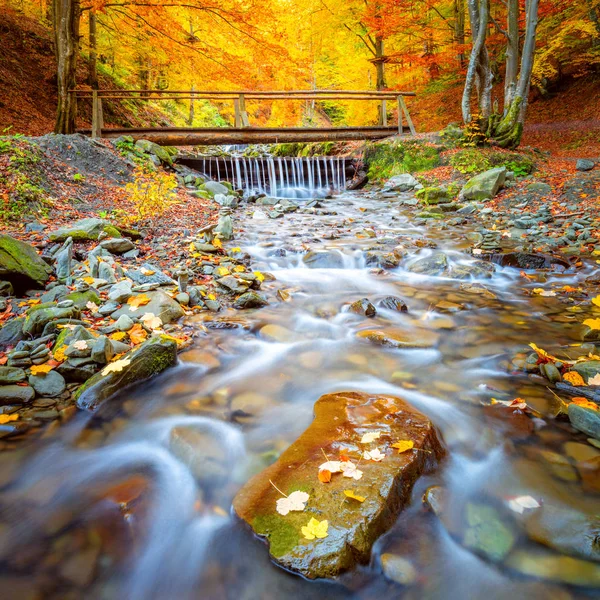 Autumn fall landscape - Old wooden bridge fnd river waterfall in — Stock Photo, Image