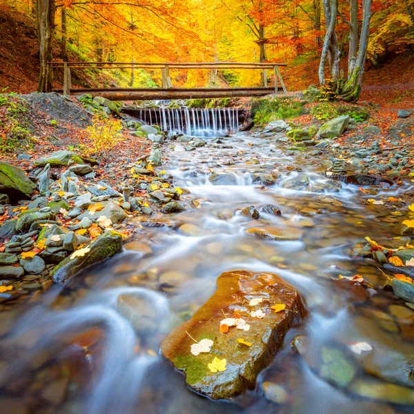 Peisaj toamna toamna - Podul vechi din lemn fnd cascada râului în — Fotografie, imagine de stoc