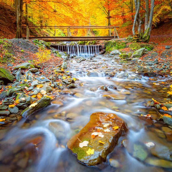Autumn fall landscape - Old wooden bridge fnd river waterfall in