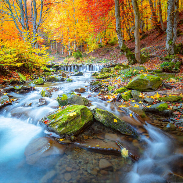 Colorful Autumn landscape -  river waterfall in colorful autumn 