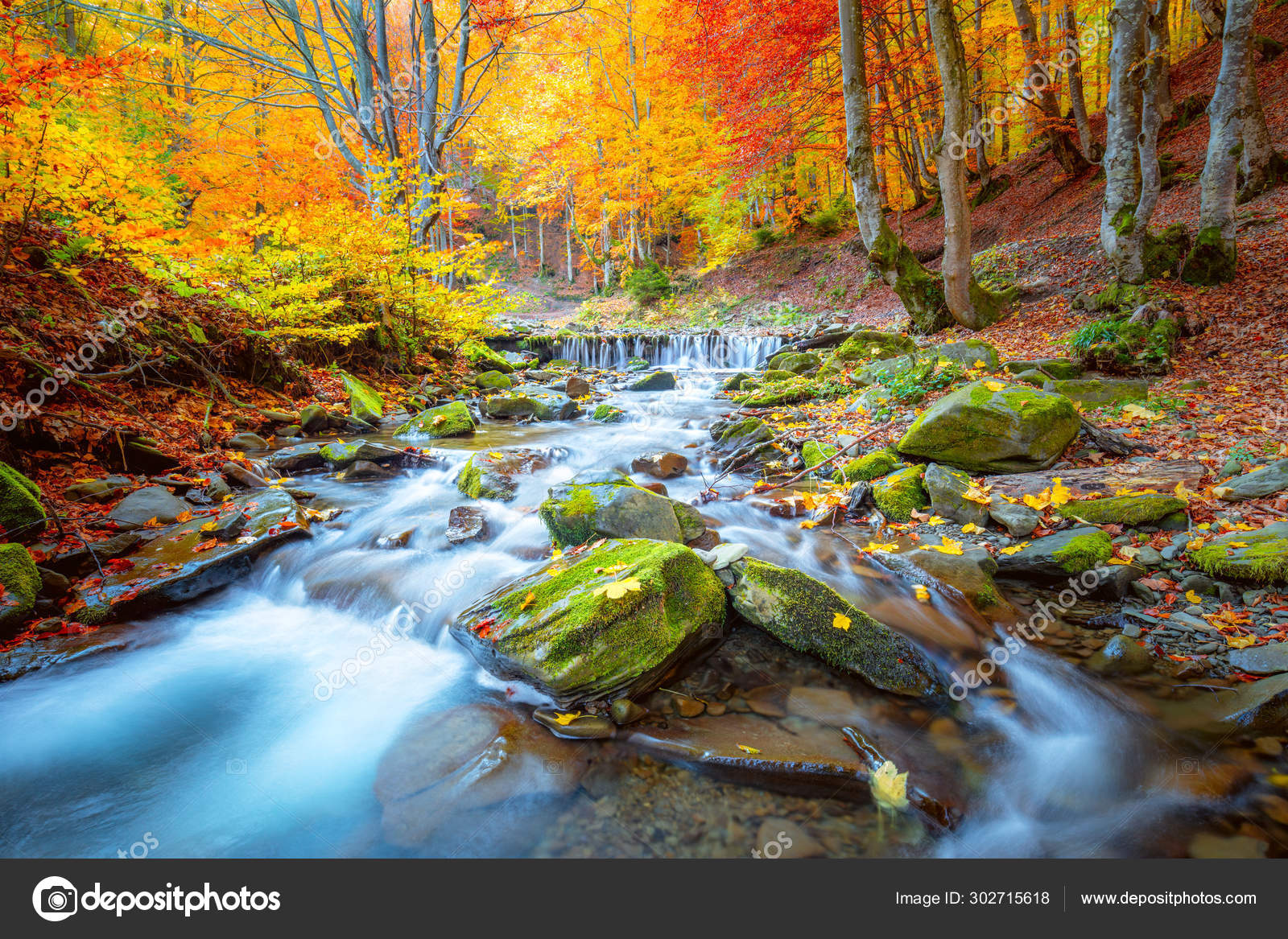 Autumn Landscape River Waterfall In Colorful Autumn Forest Pa Stock Photo Image By C A Taiga Autumn Landscape River Waterfall In Colorful Autumn Forest Pa Stock Photo Image By C A Taiga