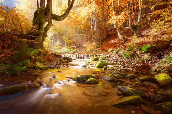 Paisagem Outono incrível. Pequenas montanhas rio em árvores amarelas — Fotografia de Stock