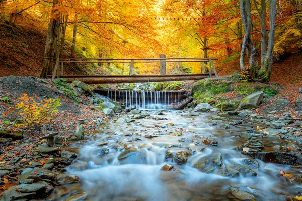 Herfst in natuurpark-kleurrijke bos bomen, kleine houten BRI — Stockfoto