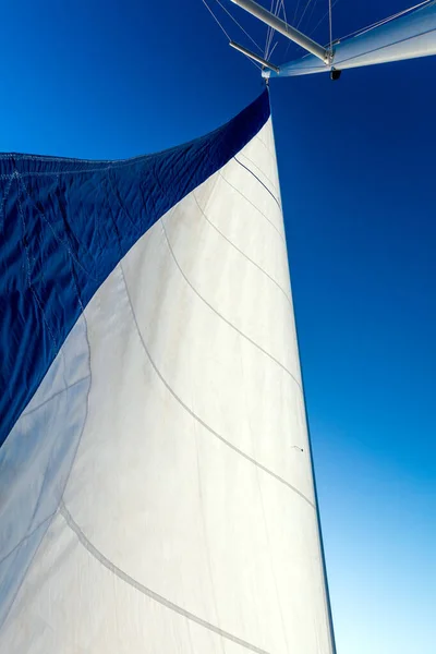 Вид Вітрильну Яхту Катамаран Плаває Морі Вітрильник — стокове фото
