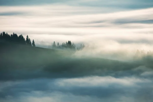 Concetto Nebbia Nebbiosa Paesaggio Con Alberi Foresta Vista Aerea Mattina — Foto Stock