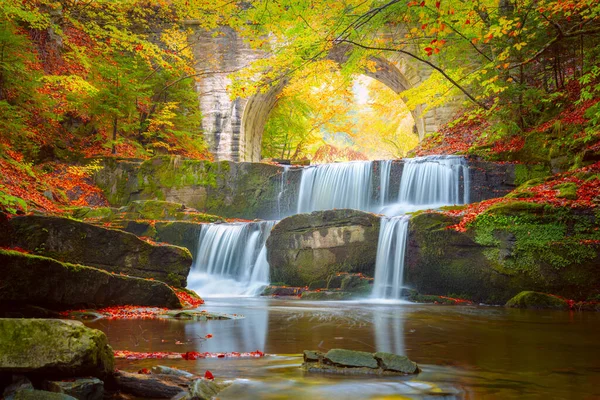 秋天奇景 河流瀑布在五彩缤纷的秋天森林公园里 黄红叶与老桥相映成趣 — 图库照片