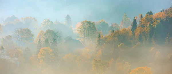 Красивая Панорама Осенних Гор Желтые Деревья Горных Холмах Утренний Туман — стоковое фото