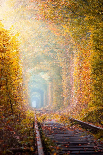 Fantástico Túnel Árboles Otoño Con Viejo Ferrocarril Túnel Amor Túnel —  Fotos de Stock