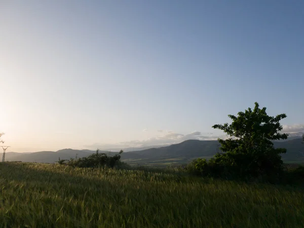 Paisaje Natural Rústico Atardecer — Foto de Stock