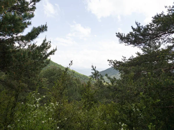 Orman Vadisi ile ufuktaki dağlar