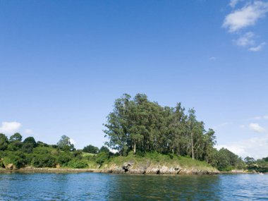 güneşli bir gün nehir banka peyzaj