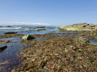 Güneşli bir deniz yosunu Beach güzel görünüm