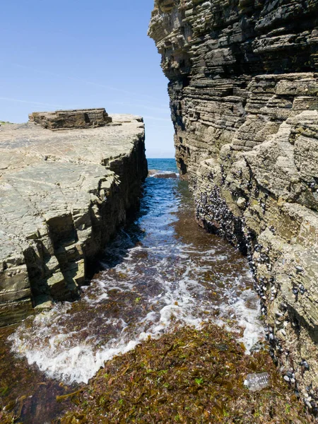 blue sea horizon with rocks landscape