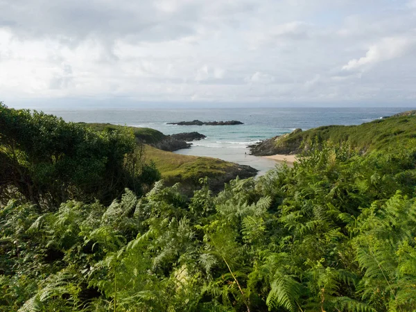 Grön Vacker Landskap Beach — Stockfoto