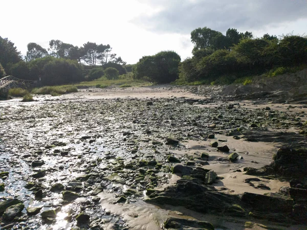 green beautiful landscape beach