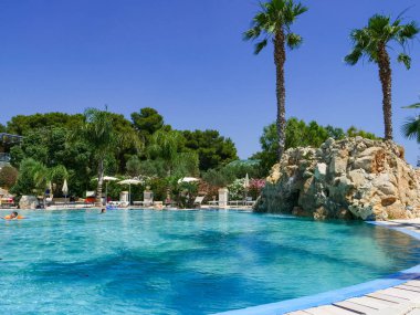 Palmiye ağacı, mavi gökyüzü ve tropikal bitki örtüsü manzarası ile güzel tatil veya otel yüzme havuzu turkuaz su