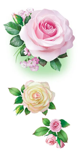 Прекрасные Букеты Розовых Белых Роз Рисование Оформления Страниц Приглашений Поздравлений — стоковое фото
