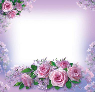 Leylak arka planında pembe güller olan güzel bir kart..