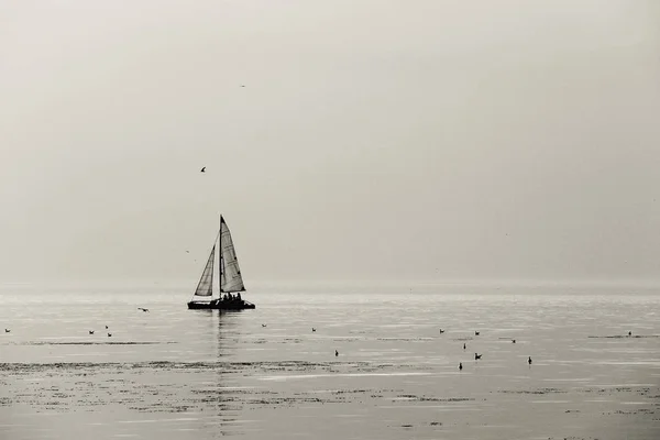 Sailing Ship Open Sea Black White Photo — Stock Photo, Image