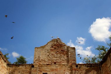 Eski Alman Kilisesi. Fotoğraf. Ukrayna