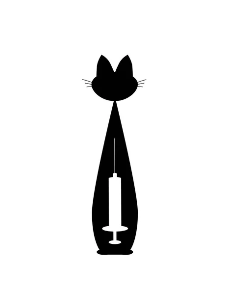 Negro Gato y jeringa blanca. vector. aislado — Vector de stock