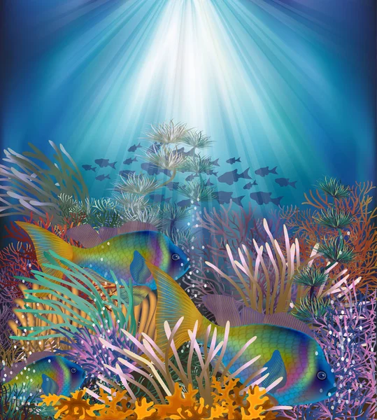 Unterwasserkarte Mit Tropischen Fischen Vektorillustration — Stockvektor