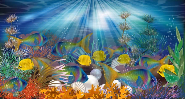 Onderwater Behang Met Parels Tropische Vissen Vectorillustratie — Stockvector