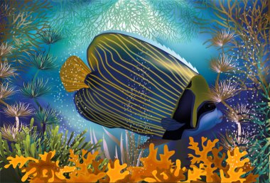 Mavi çizgili balık, vektör çizim ile sualtı banner