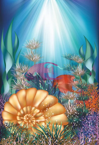 Kabuk ve tropikal balık, vektör çizim ile sualtı kartı