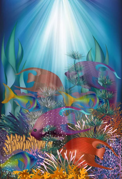 Podwodne Karty Tropikalnych Ryb Ilustracji Wektorowych — Wektor stockowy