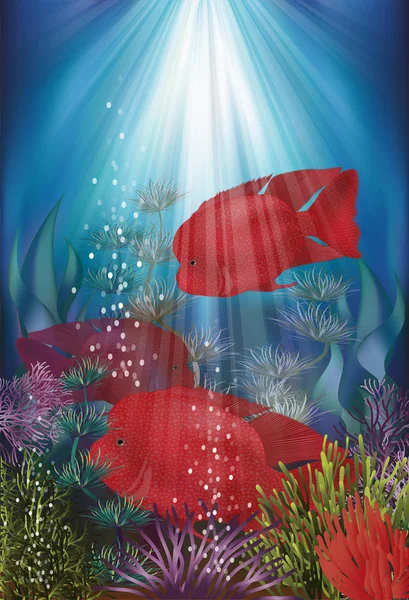 Banner Submarino Con Peces Herichthys Carpintis Super Red Ilustración Vectorial — Archivo Imágenes Vectoriales