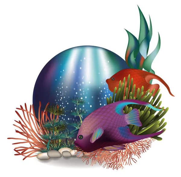 熱帯魚が泳ぐ 水中挨拶 Cad ベクトル イラスト — ストックベクタ